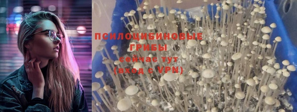 jwh Горнозаводск