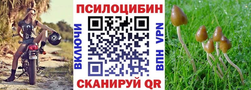 Купить где  Черепаново  Галлюциногенные грибы Magic Shrooms 